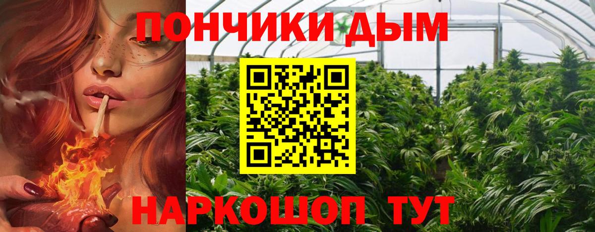 Бошки марихуана Amnesia Соликамск